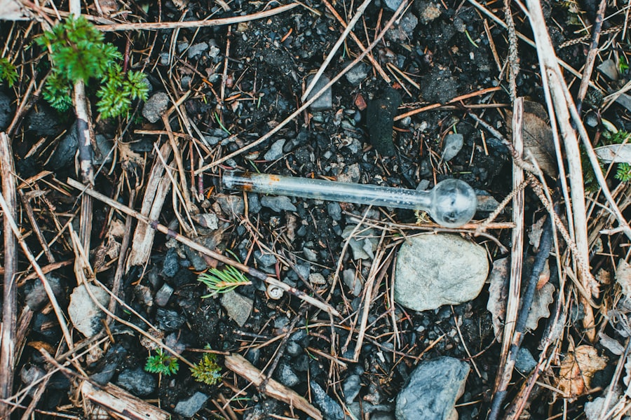 Photo lead poisoning