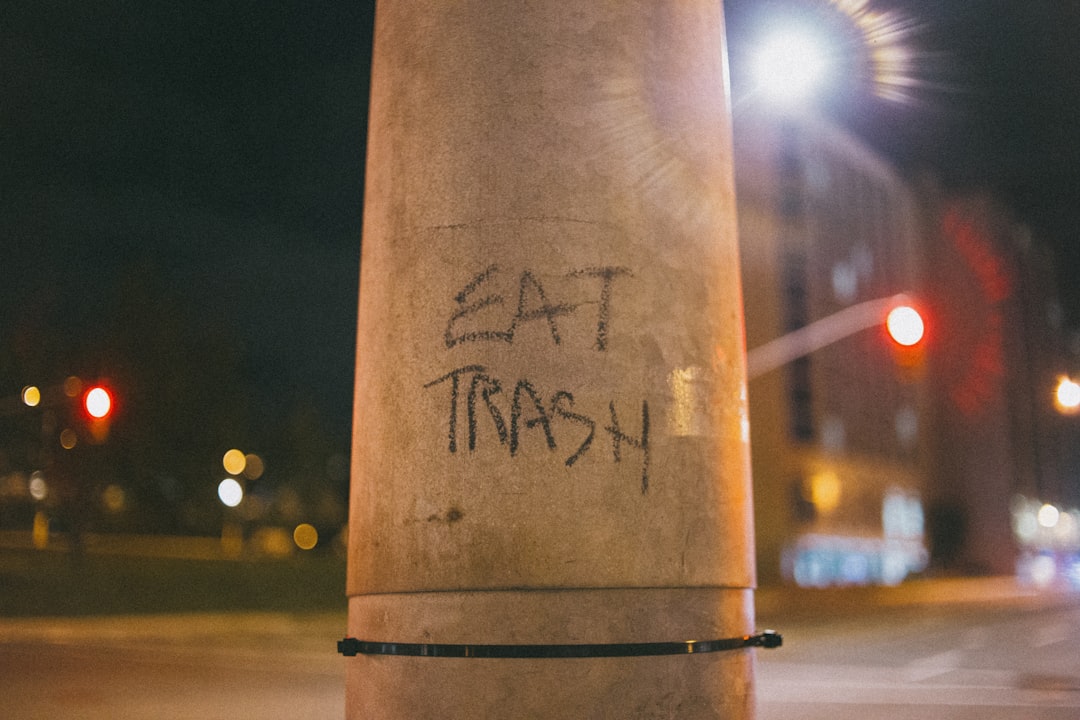 Photo e waste, human health