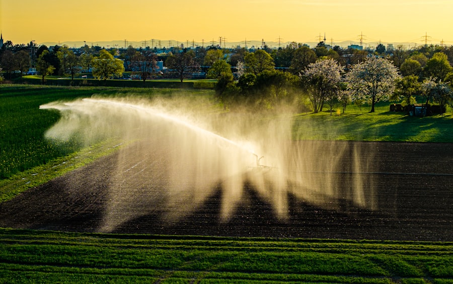 Photo phosphorus fertilizer pollution