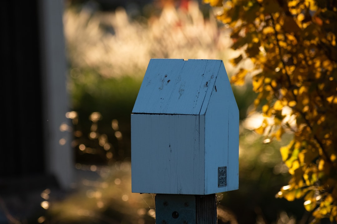 Photo smart home subscription traps