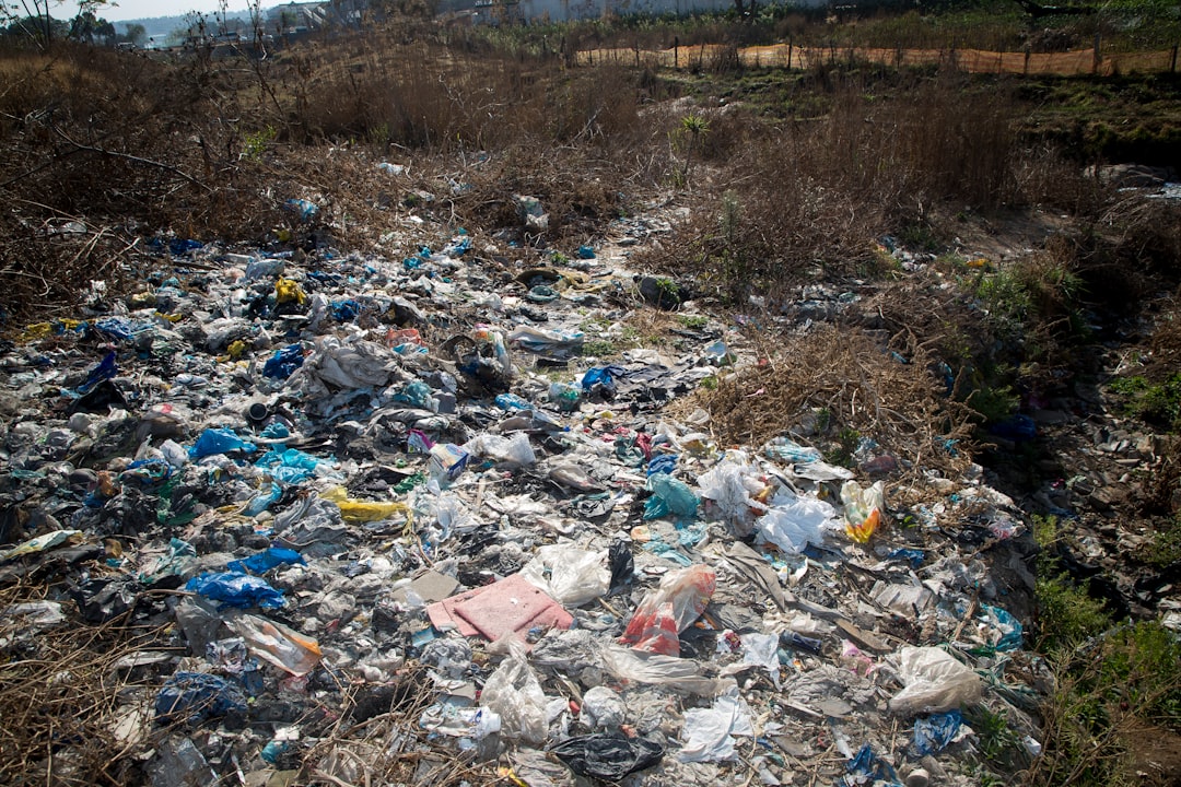 Photo environmental disaster cleanup costs