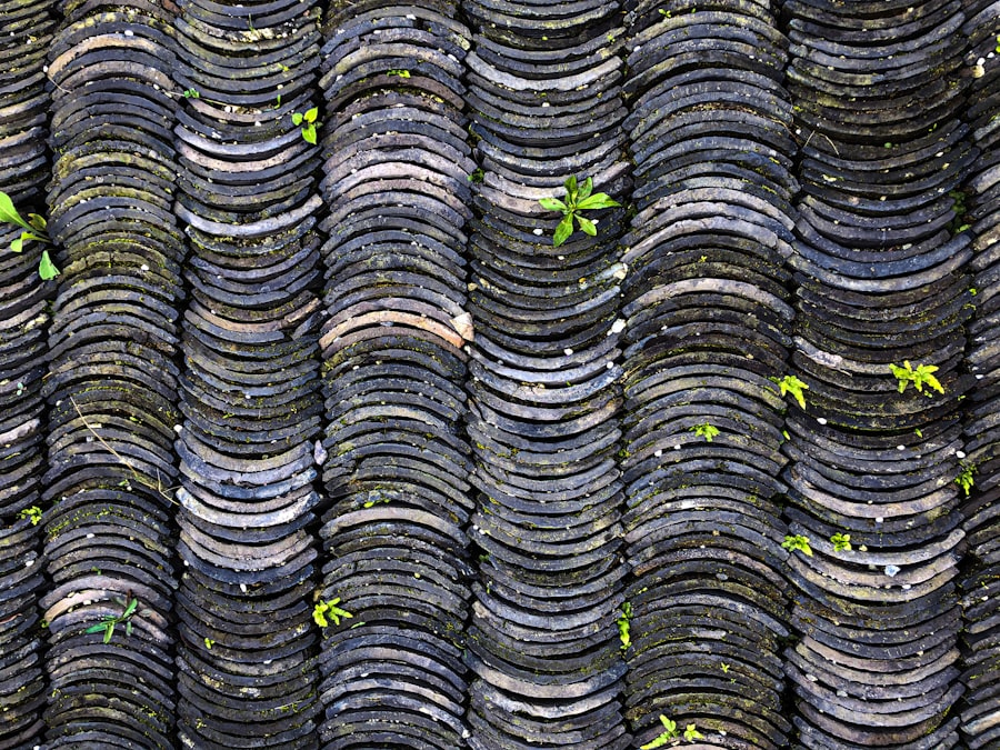 Photo used tire exports