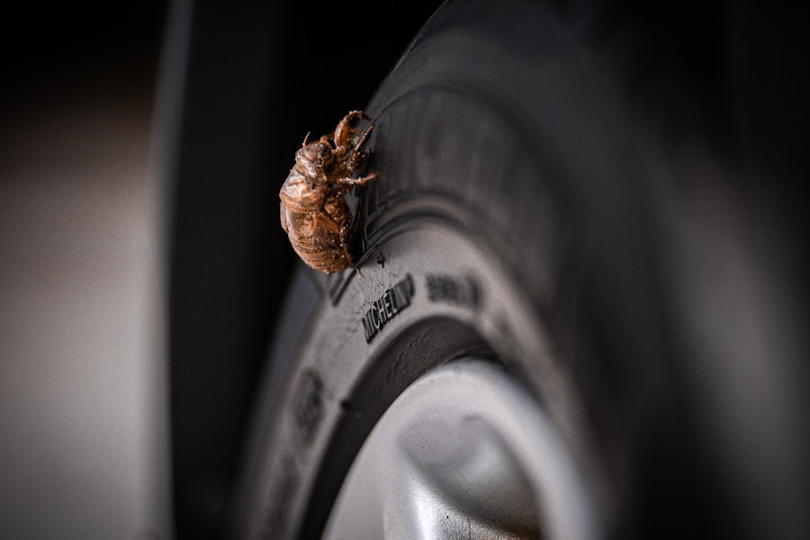 Photo tire pressure impact