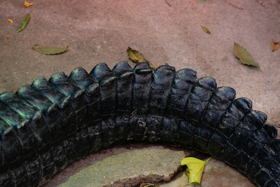 Photo tire industry planned obsolescence documentary