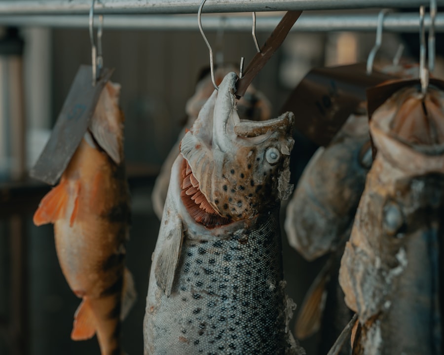 salmon dyeing