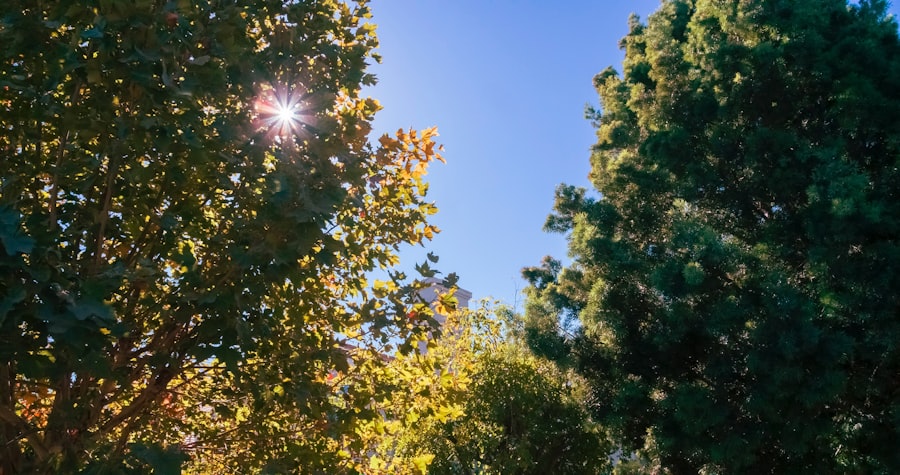 solar day vs earth day comparison