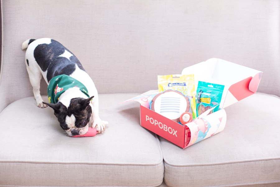 Photo roomba poop avoidance technology