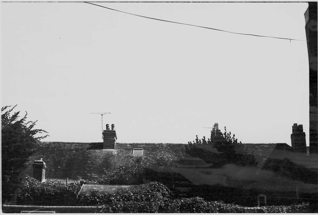 Photo developing film
