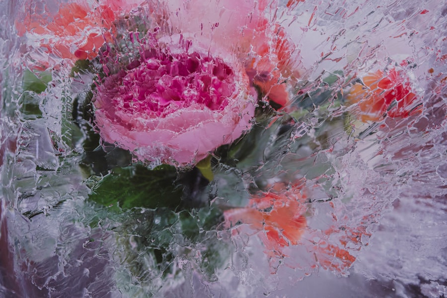 Photo illusion of freshness