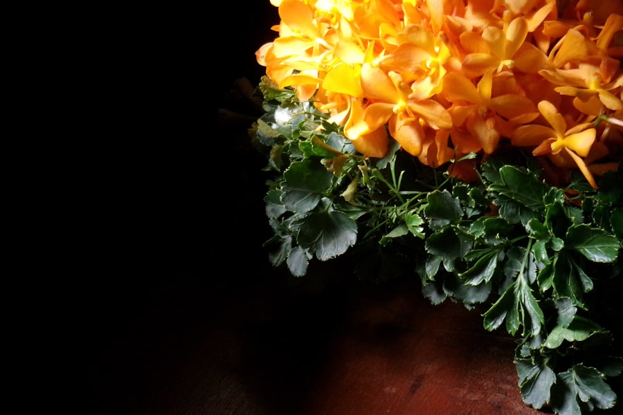 Photo marigold trick