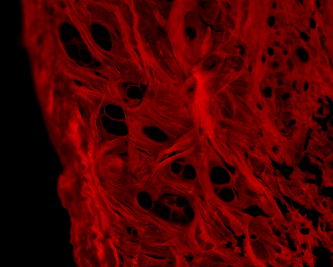 Photo biological laboratories